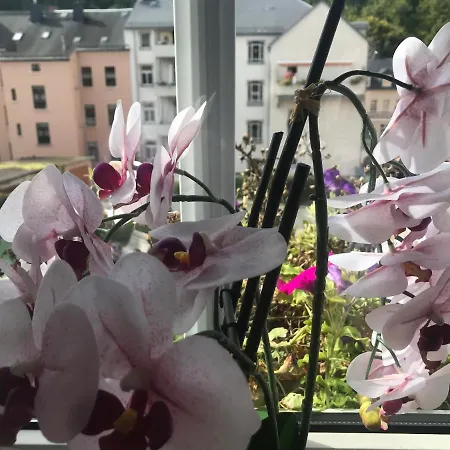 Apartment Enno *